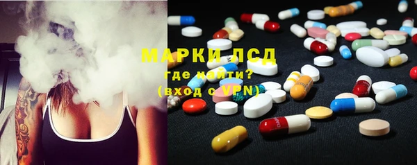 ECSTASY Елизово