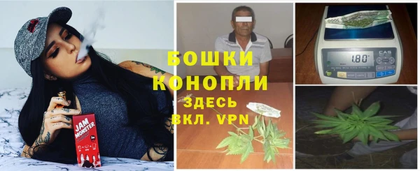 ECSTASY Елизово