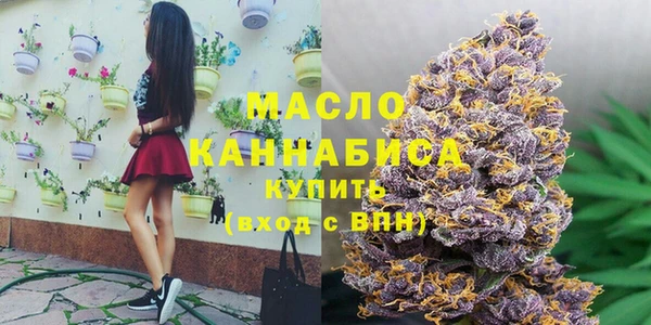 apvp Ельня