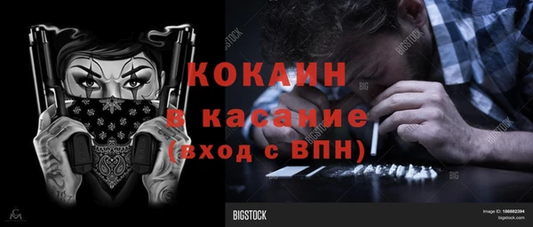 apvp Ельня