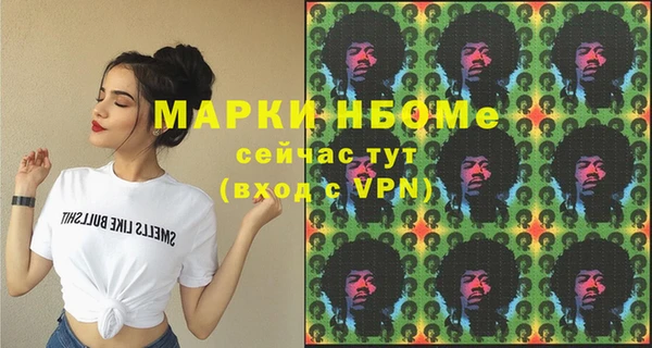 apvp Ельня