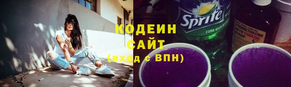 apvp Ельня