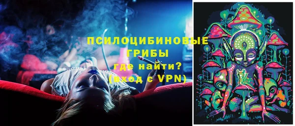 apvp Ельня