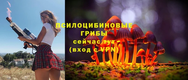 ECSTASY Елизово