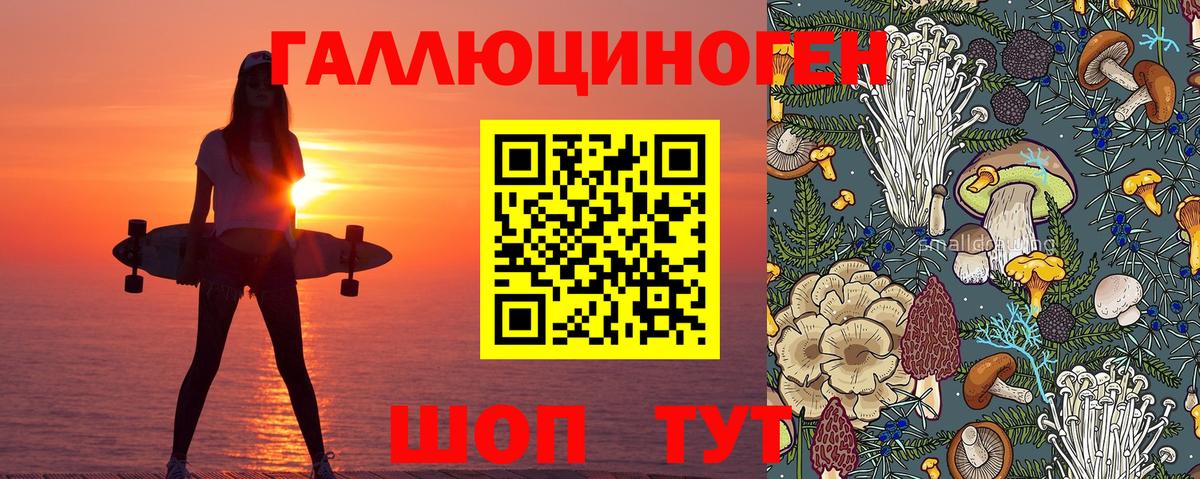Галлюциногенные грибы прущие грибы  Вход с VPN  Тулун  Псилоцибиновые грибы мухоморы 
