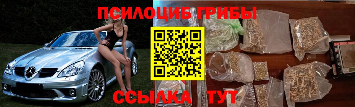 Галлюциногенные грибы прущие грибы Тулун